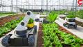 کمک ربات‌های هوشمند به کشاورزان